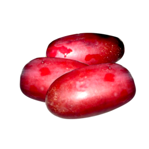 Zaghloul