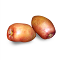Fresh Samani Dates