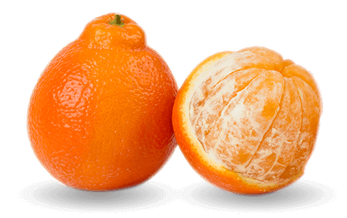 Minneola