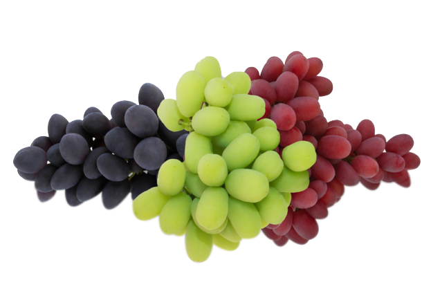 Grapes